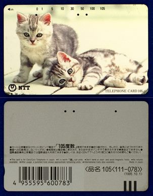 NTT 105(111-078) 1995.10.1 (2)