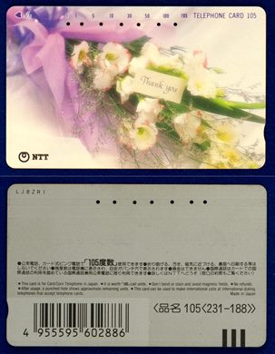 NTT 105(231-188)