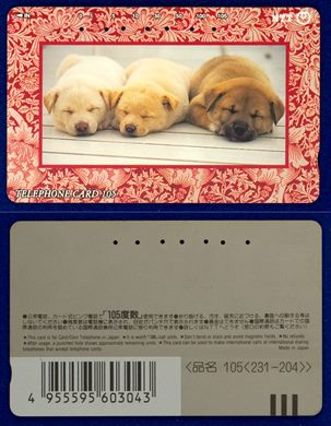 NTT 105(231-204)