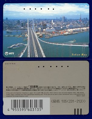 NTT 105(231-213)