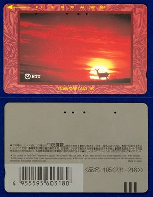NTT 105(231-218)