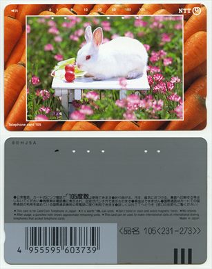 NTT 105(231-273)