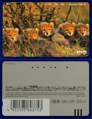 NTT 105(231-275)