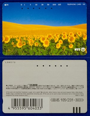 NTT 105(231-303)