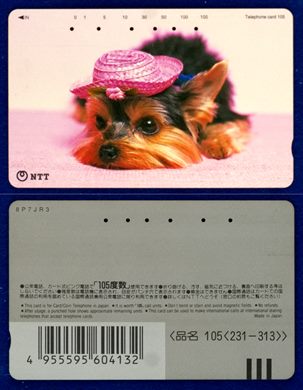 NTT 105(231-313)