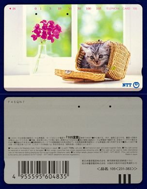 NTT 105(231-383)