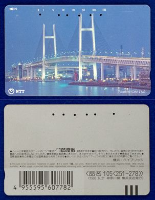 NTT 105(251-278) 1993.6.21