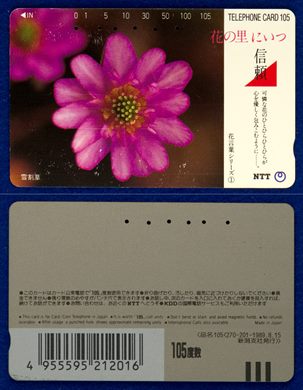 NTT 105(270-201-1989.8.15)