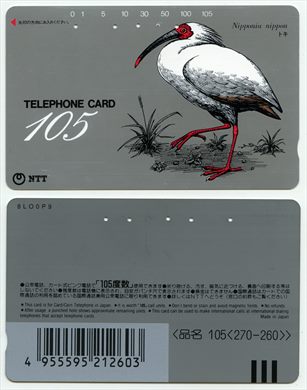 NTT 105(270-260)