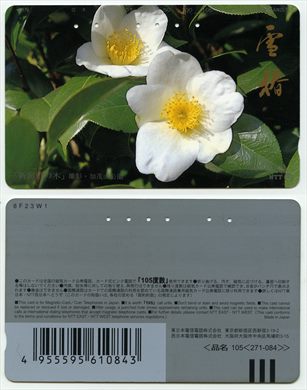 NTT 105(271-084)