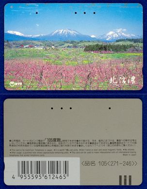 NTT 105(271-246)