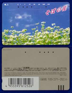 NTT 105(271-252)