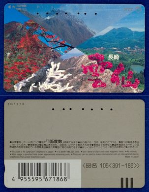 NTT 105(391-186)
