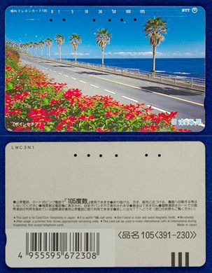 NTT 105(391-230)