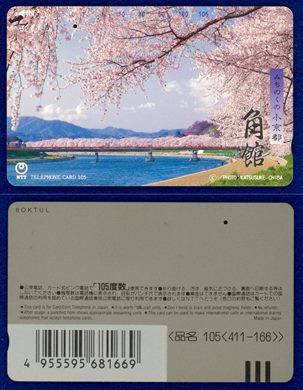 NTT 105(411-166)