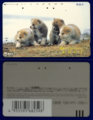 NTT 105(411-259)