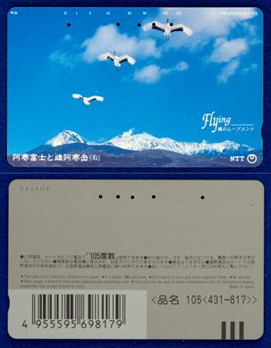 NTT 105(431-817)