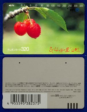 NTT 320(410-237-1989.6.1)