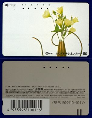 NTT 50(110-011) (9)
