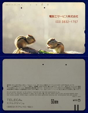 NTT 50(110-183)