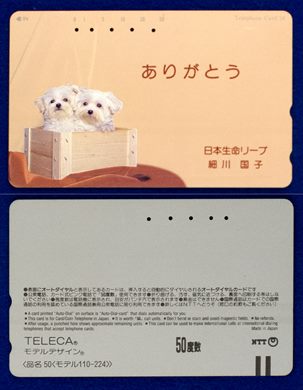 NTT 50(110-224)