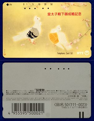 NTT 50(111-002) 1993.5.1