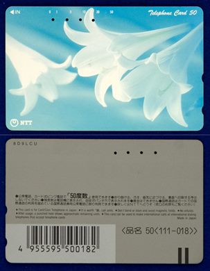 NTT 50(111-018)