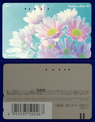 NTT 50(111-026) 1994.9.1