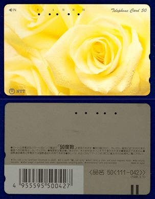 NTT 50(111-042) 1995.3.1