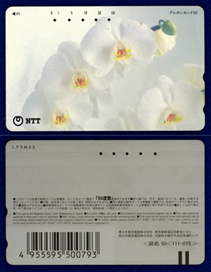 NTT 50(111-079) (4)