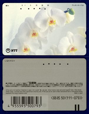 NTT 50(111-079) (5)