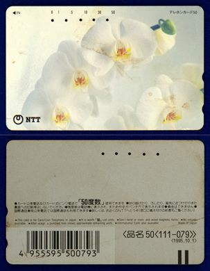 NTT 50(111-079) 1995.10.1