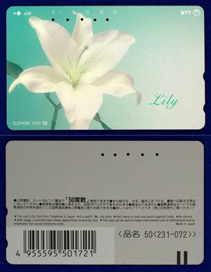 NTT 50(231-072)