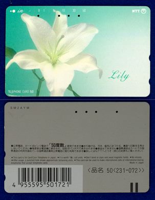 NTT 50(231-072) (3)
