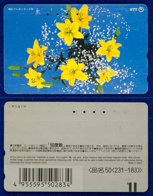 NTT 50(231-183)