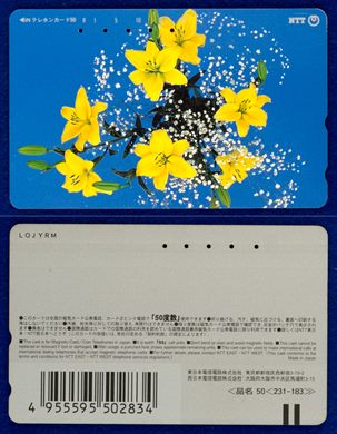 NTT 50(231-183) (2)