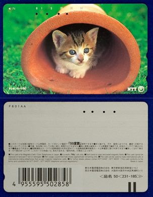NTT 50(231-185) (2)