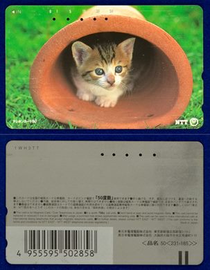 NTT 50(231-185) (3)