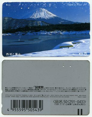 NTT 50(251-043) 1991.5.15