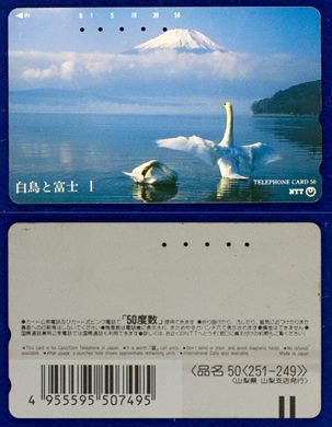 NTT 50(251-249)