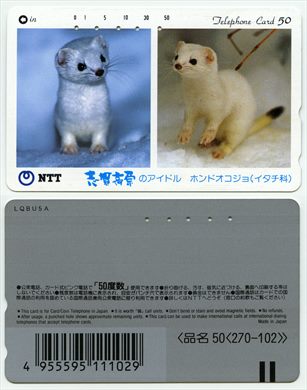 NTT 50(270-102)