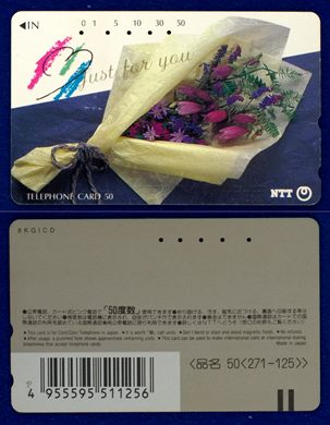 NTT 50(271-125)