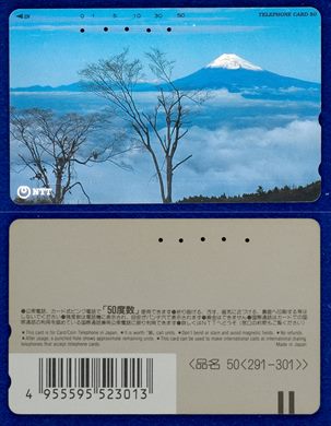 NTT 50(291-301) (2)