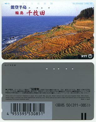 NTT 50(311-085)