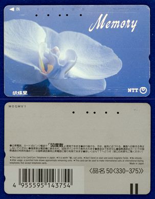 NTT 50(330-375) (2)