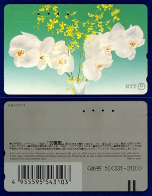 NTT 50(331-310)