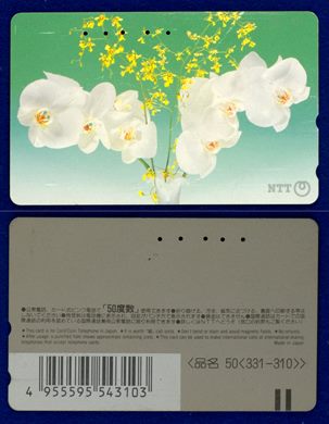 NTT 50(331-310) (3)