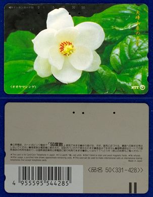 NTT 50(331-428)
