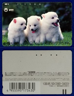 NTT 50(390-343) 1990.2.1