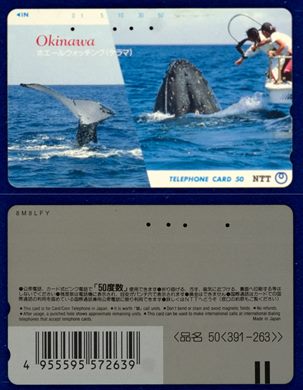 NTT 50(391-263)